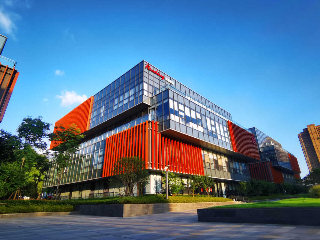 醫(yī)藥技術新星 2025年的和鼎公司展望